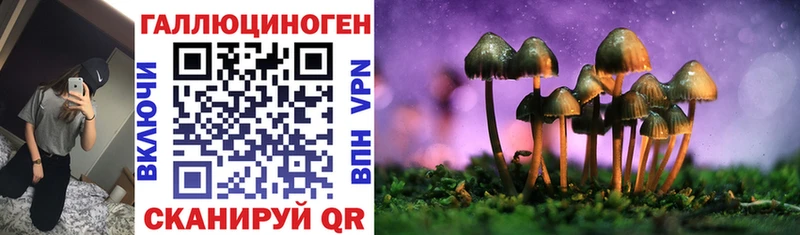 Галлюциногенные грибы GOLDEN TEACHER  как найти   кракен ТОР  Нерчинск 